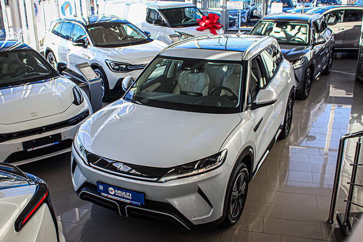 Multimotors
