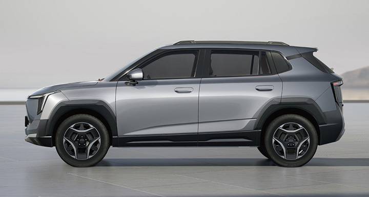 Dongfeng Nammi 06