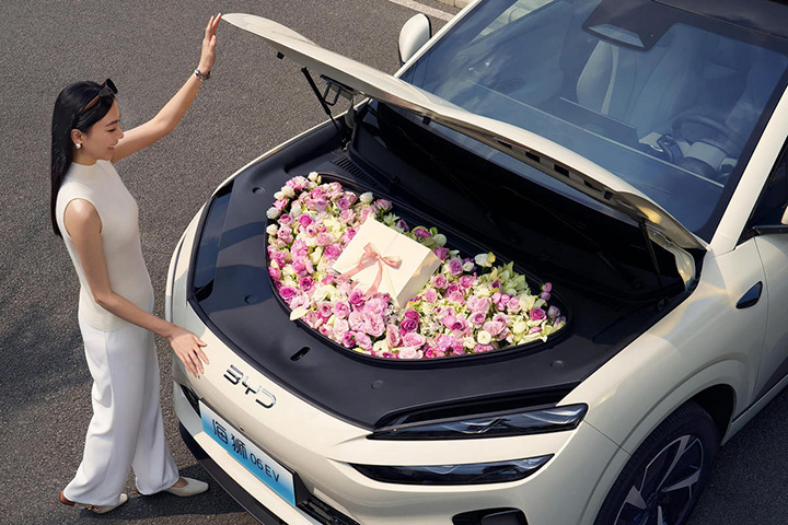 BYD Sealion 06