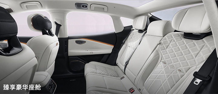 Lynk & Co 10 EM-P