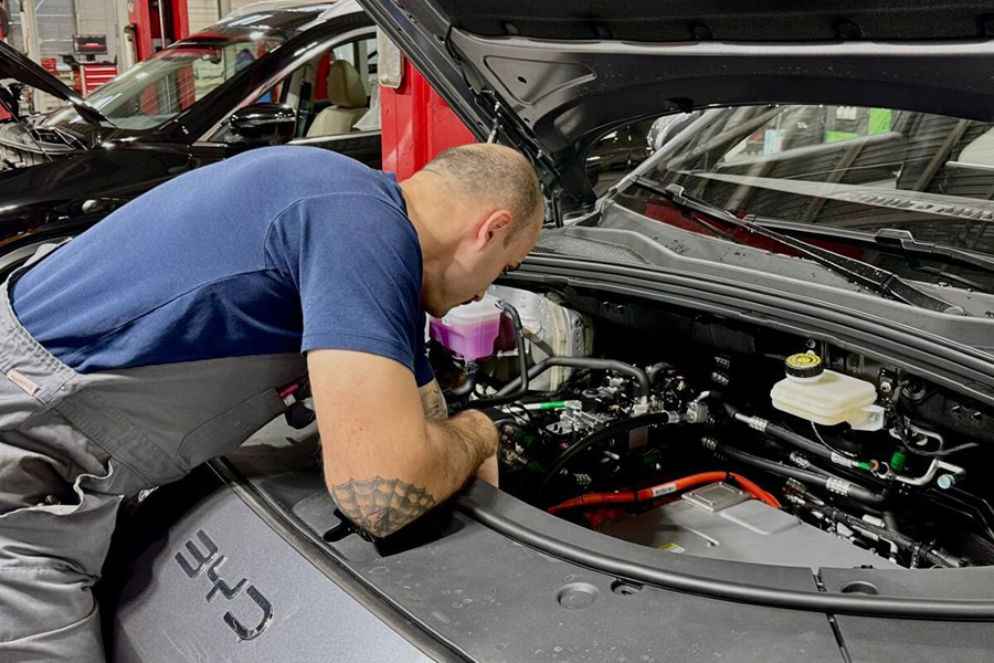 В Беларуси начали русифицировать электромобили BYD