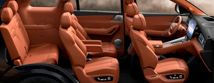 Denza N8L EV