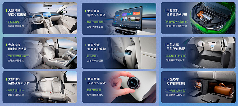 BYD Great Seagull
